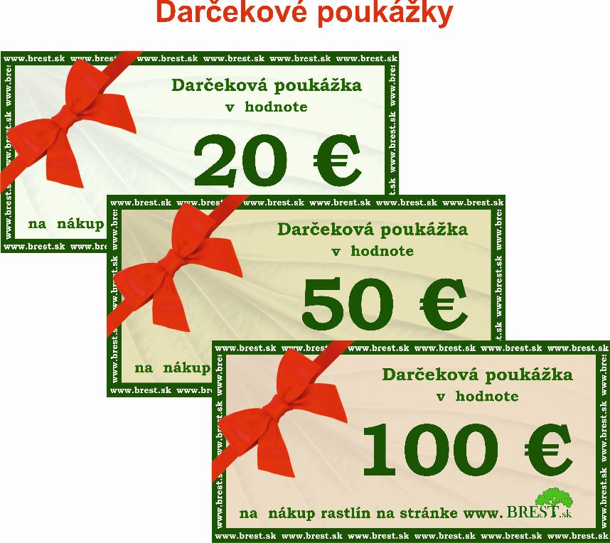 Darčekové poukážky