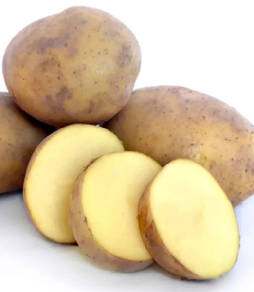 Sadbové zemiaky 'Agria' 1kg vanička
