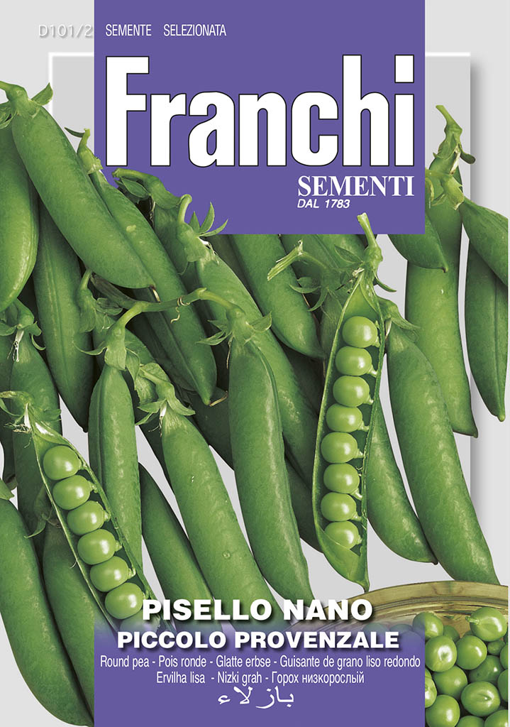 Hrach nízky - PICCOLO PROVENZALE - semená