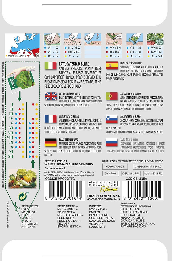 Šalát hlávkový - MASLOVÁ HLAVA – ZIMNÝ - semená, 10 gramov