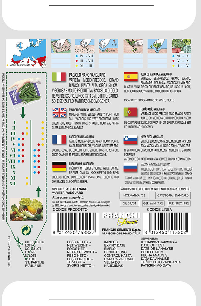Fazuľa nízka - VANGUARD - semená