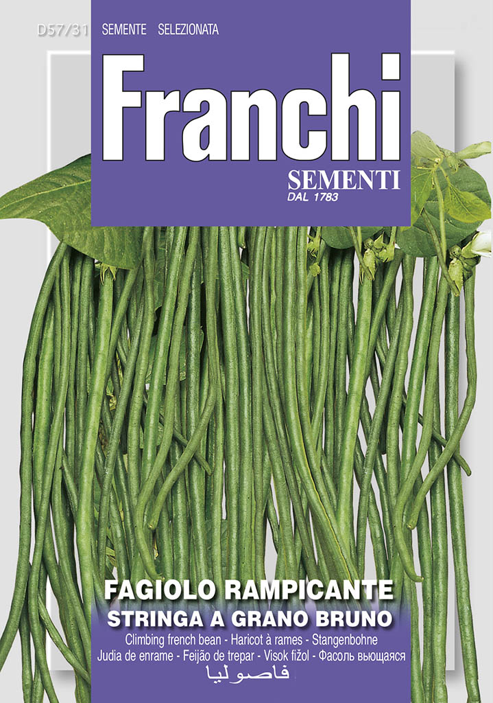 Fazuľa ťahavá - STRINGA A GRANO BRUNO - semená
