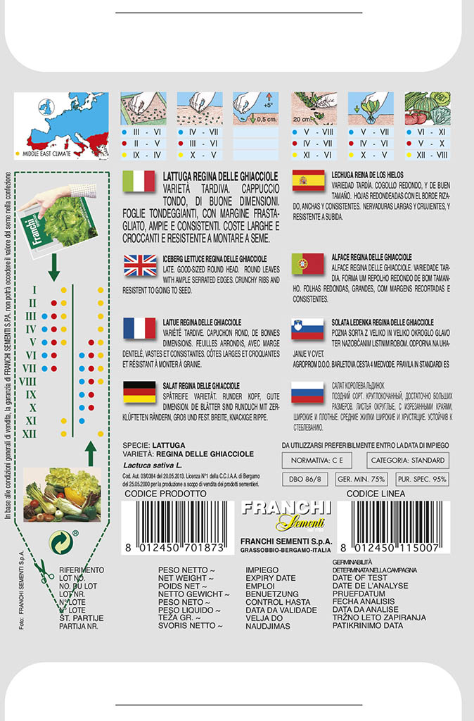 Šalát ľadový - REGINA DELLE CHIACCIOLE - semená, 9 gramov