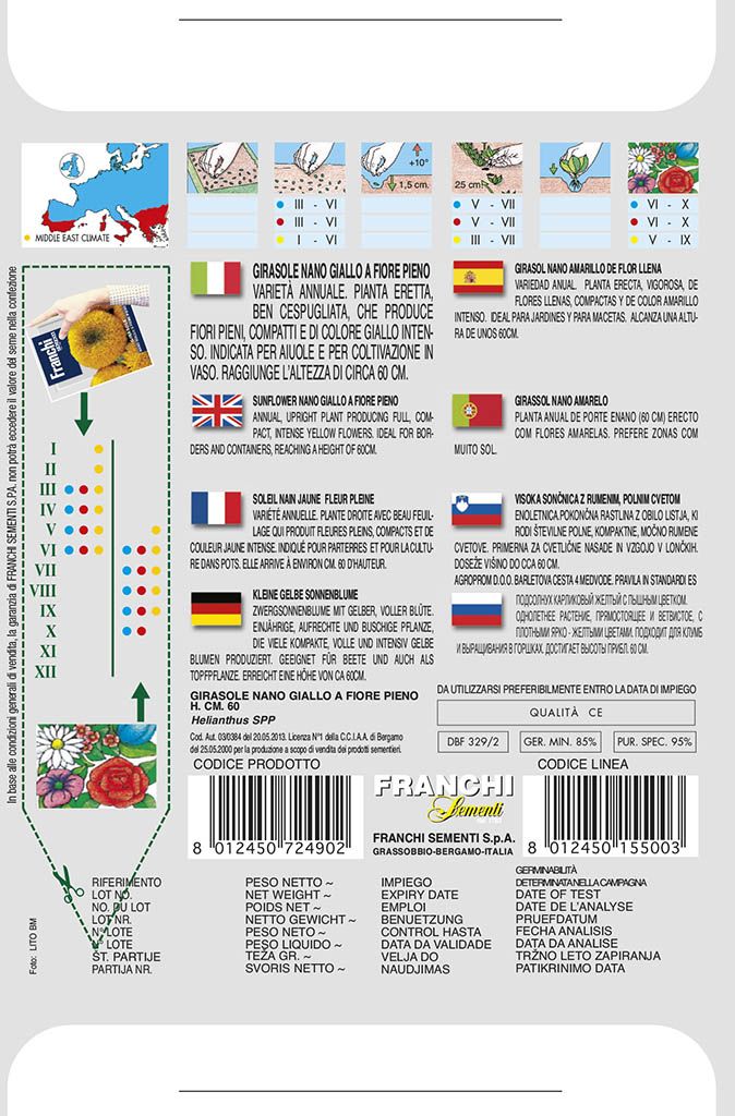 SLNEČNICA - žltá trpaslíčia, plnokvetá