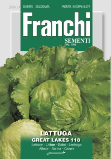 Šalát ľadový - GREAT LAKES 118 - semená, 5 gramov