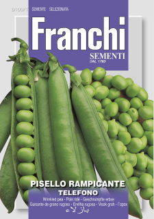 Hrach ťahavý - TELEFONO - semená, 60 gramov