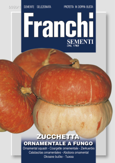 Okrasná tekvica - TURBAN - semená, 2 gramy