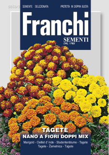 Aksamietnica nízka – VIACFAREBNÁ ZMES