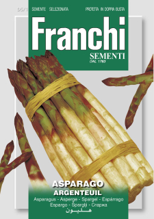 Špargľa – ARGENTEUIL