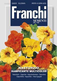 Kapucínka ťahavá - VIACFAREBNÁ