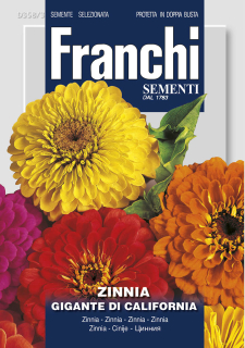 Cínia pôvabná - kalifornská obrovská - semená